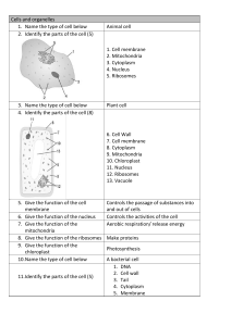 Cells and organelles 1. Name the type of cell below Animal cell 2