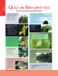 quiz on bryophytes