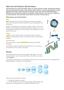 DNA and cell division exam questions B2