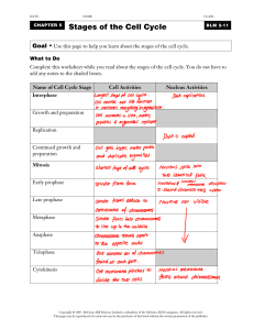 Stages of the Cell Cycle