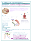 Felding Lab Studies Handout, PDF