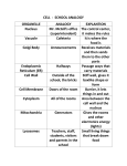 CELL - SCHOOL ANALOGY ORGANELLE ANALOGY EXPLANTION