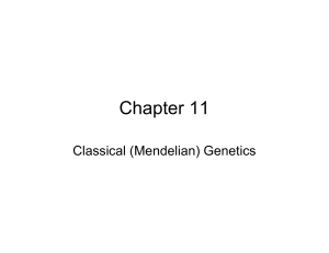 Classical (Mendelian) Genetics