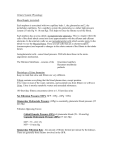 Urinary System: Physiology Blood Supply (revisited) Each nephron