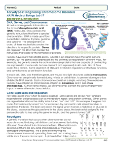 Karyotypes - Groch Biology