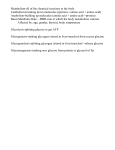 Glycolysis-splitting glucose to get ATP