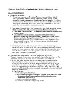 The Nervous System - Marshall Middle