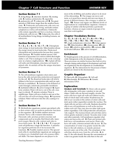 Chapter 7 Cell Structure and Function ANSWER KEY