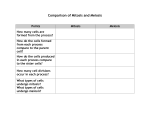 Comparison of Mitosis and Meiosis Chart