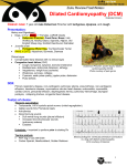 Dilated Cardiomyopathy (DCM)