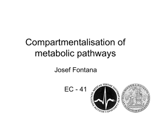 Compartmentalisation of metabolic pathways