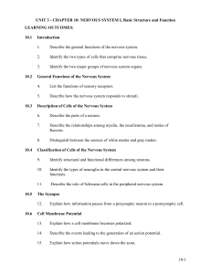 CHAPTER 10: NERVOUS SYSTEM I