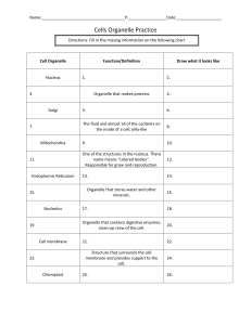 Cells Organelle Practice