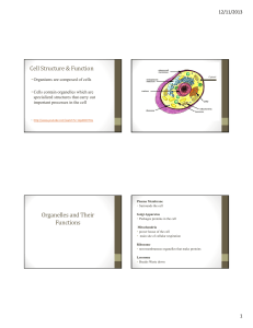 Cell Notes PPT - Winston Knoll Collegiate