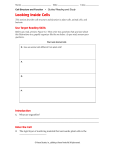 1.2 Looking Inside Cells Guided Reading