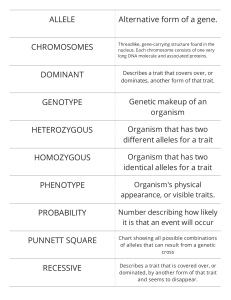 ALLELE Alternative form of a gene. CHROMOSOMES DOMINANT