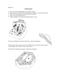 Cell Structure