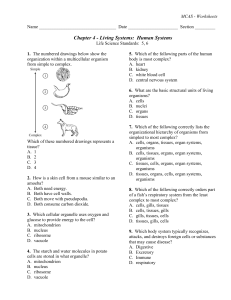 Chapter 4 - Living Systems: Human Systems