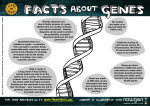 Inside the nucleus of each human cell are 46 chromosomes. We