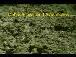 Debris Flows and Avalanches