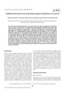 Antibacterial action of several tannins against Staphylococcus aureus