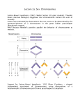 Lecture 2a: Sex: Chromosomes