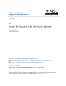 An in Silico Liver: Model of Gluconeogenesis