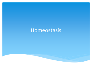 Homeostasis and the cell membrane