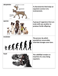 adaptation A characteristic that helps an organism survive in its