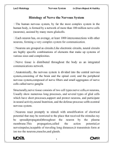 Histology of Nerve the Nervous System
