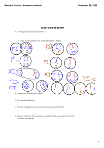 Genetics Review - Answers.notebook