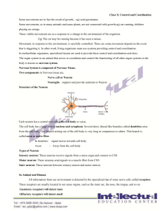 Class X: Control and Coordination Some movements are in fact the