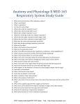 Anatomy and Physiology II MED 165 Respiratory System