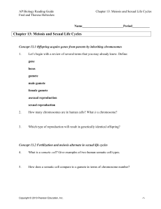 Chapter 13: Meiosis and Sexual Life Cycles