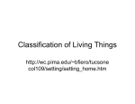 Classification of Living Things