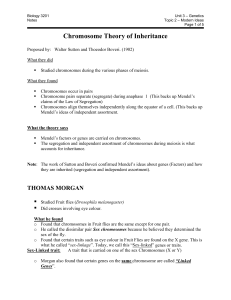 Chromosome Theory of Inheritance