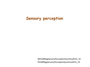 Sensory perception