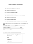 Which of the following statements is part of the cell theory