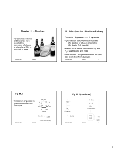 Chapter 11 - Glycolysis 11.1 Glycolysis Is a Ubiquitous Pathway Fig