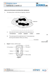 Cells and cell structure and dissolved substances