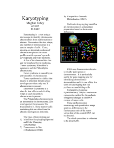 Karyotyping