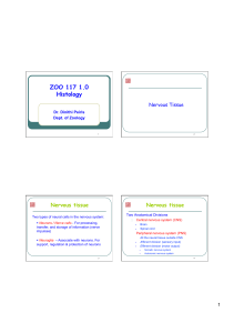 lecture 14 File