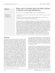 Major roles of isocitrate lyase and malate synthase in