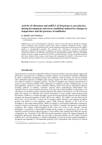 Activity of ribosomes and tmRNA of Streptomyces aureofaciens