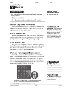 3 Meiosis - Lab RatKOS