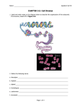 CHAPTER 9.3: Cell Division