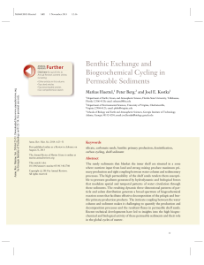 Benthic Exchange and Biogeochemical Cycling in Permeable