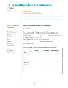 10 Sexual Reproduction and Genetics
