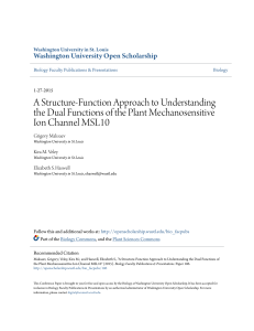 A Structure-Function Approach to Understanding the Dual Functions