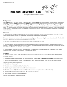 Dragon Genetics Lab